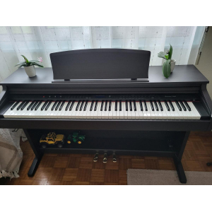 Delson TG8876 - Digital piano