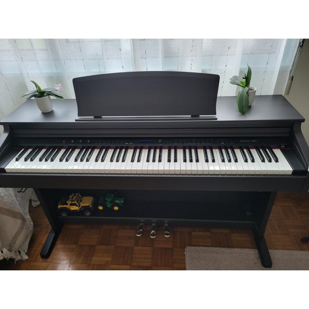 Delson TG8876 - piano digital