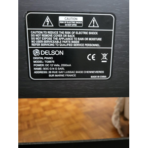 Delson TG8876 - piano numérique