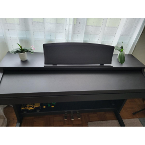 Delson TG8876 - piano numérique