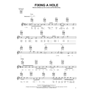 Fixing A Hole