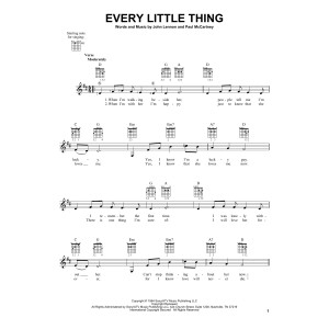 Every Little Thing