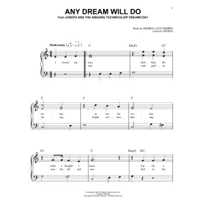Any Dream Will Do