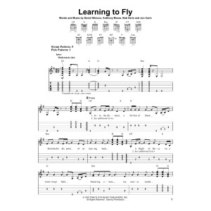 Learning To Fly