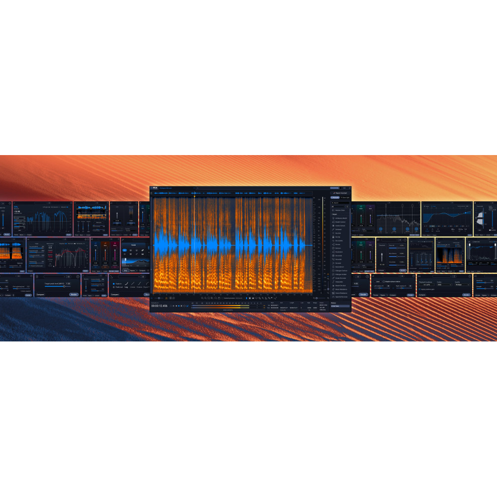 Izotope RX 12 Std: UPG from RX Elements or Elements Suite