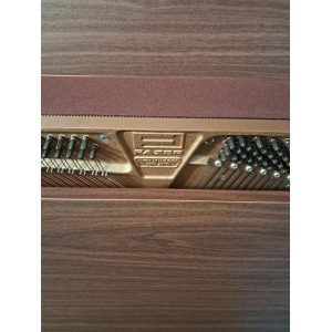 El Piano Fazer es un instrumento de teclado digital que combina un diseño elegante y una tecnología de vanguardia. Con su 