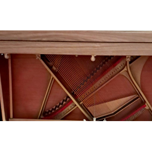 El Piano Fazer es un instrumento de teclado digital que combina un diseño elegante y una tecnología de vanguardia. Con su 