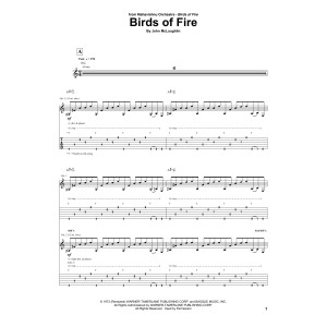Birds Of Fire