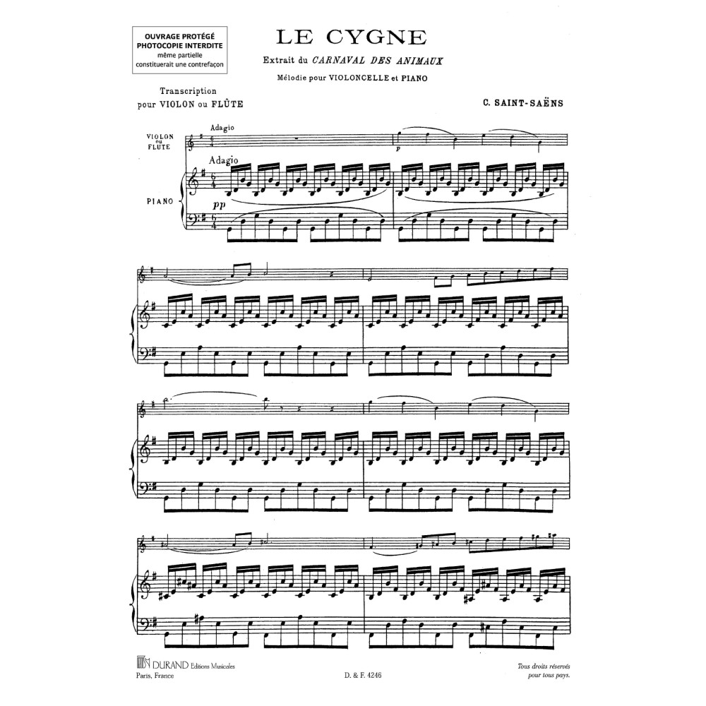 Le Cygne