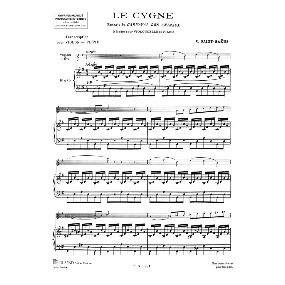Le Cygne