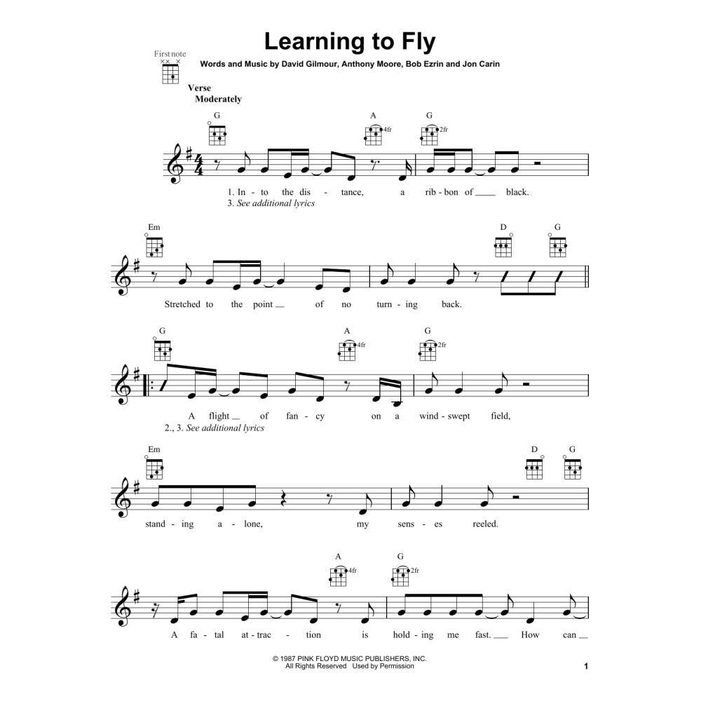 Learning To Fly