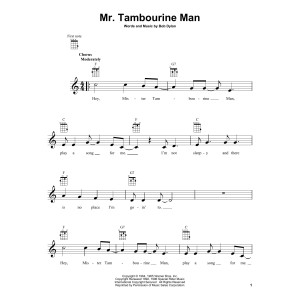 Mr. Tambourine Man