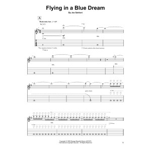 Flying In A Blue Dream