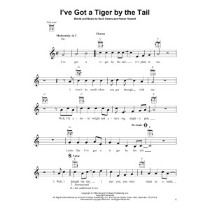 I've Got A Tiger By The Tail