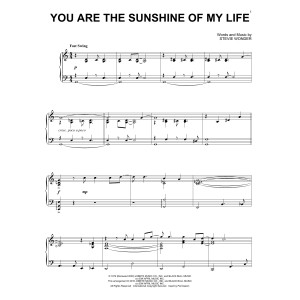 You Are The Sunshine Of My Life [Jazz version]