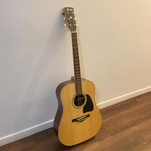 Ibanez Artwood AW300-NT