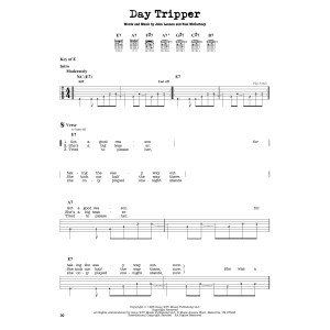 Day Tripper