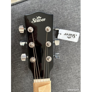 Shiver Electro-Acoustic Guitar