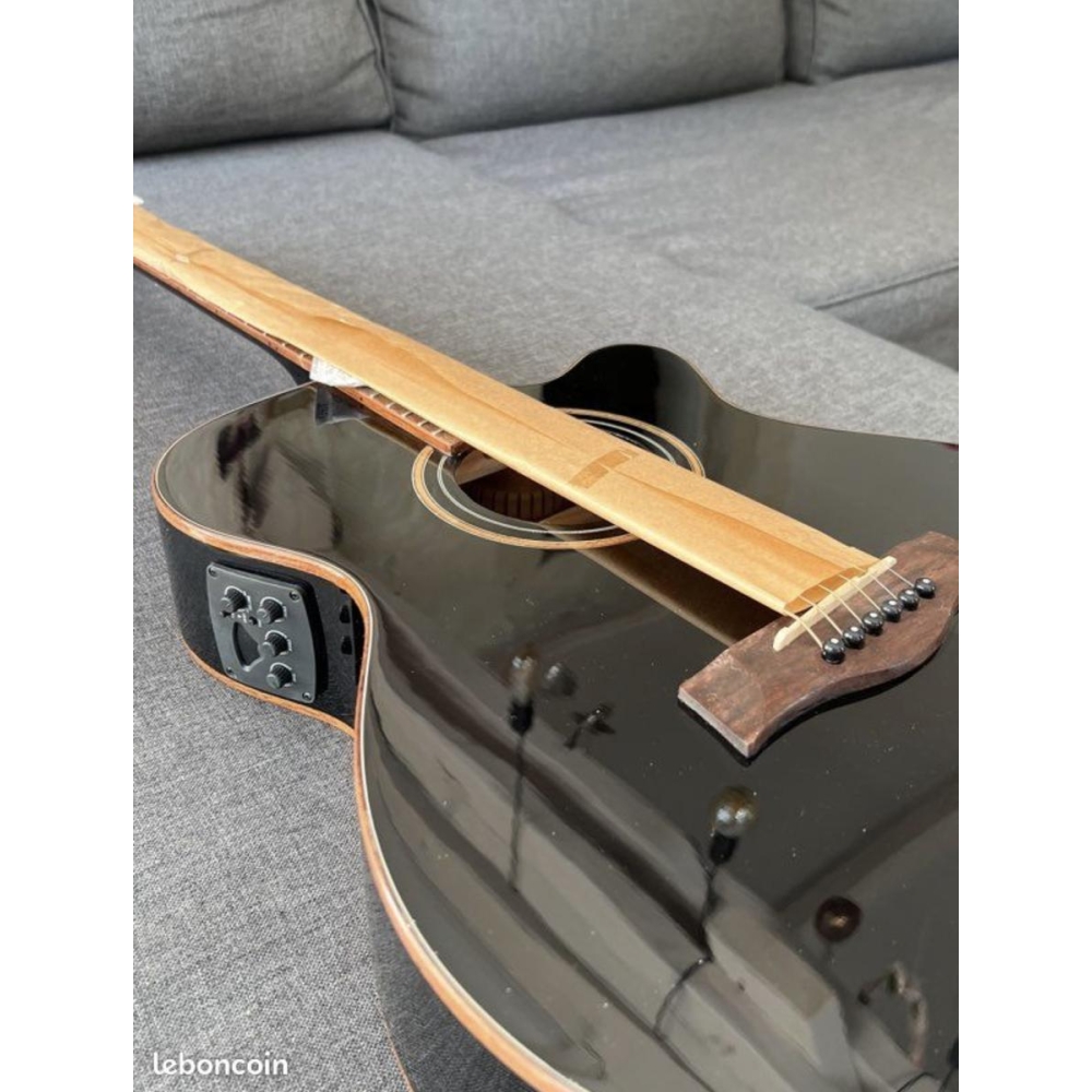 Shiver Electro-Acoustic Guitar