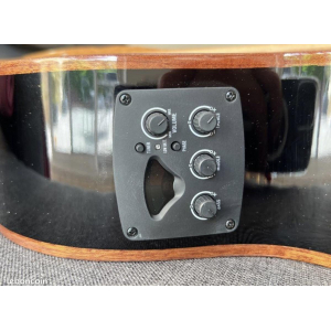 Shiver Electro-Acoustic Guitar