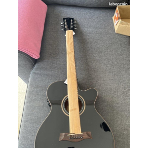 Shiver Electro-Acoustic Guitar