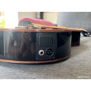 Shiver Electro-Acoustic Guitar