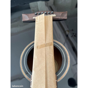 Shiver Electro-Acoustic Guitar