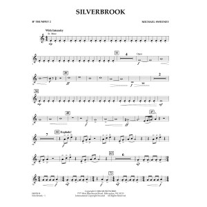 Silverbrook - Bb Trumpet 2