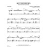 Bella's Lullaby (from Twilight) - Flute Solo