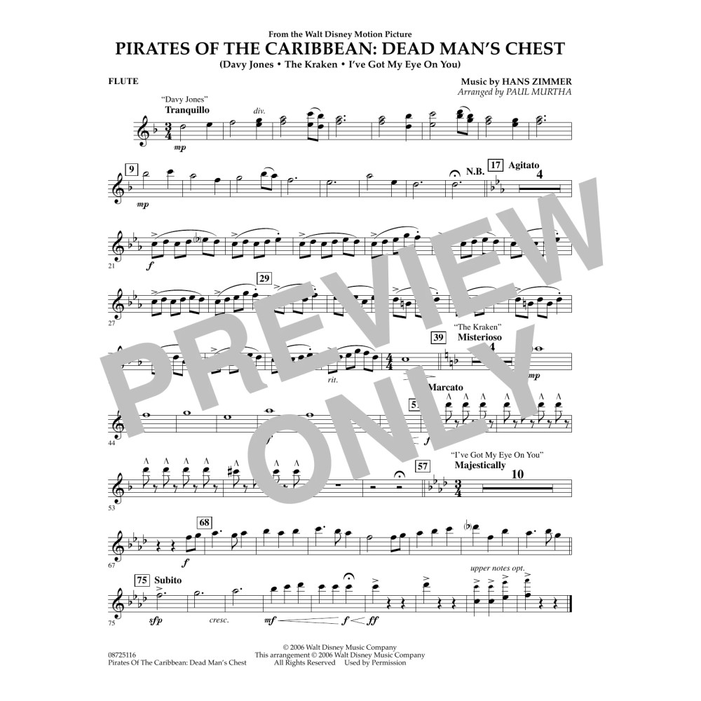 Pirates of the Caribbean: Dead Man's Chest - Flute