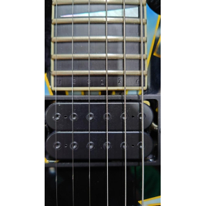 Jackson SL2H Ultra rare USA 2010 (Gaucher)