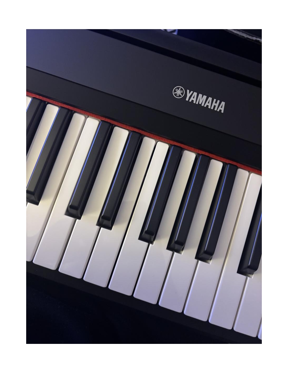 Yamaha NP-15B