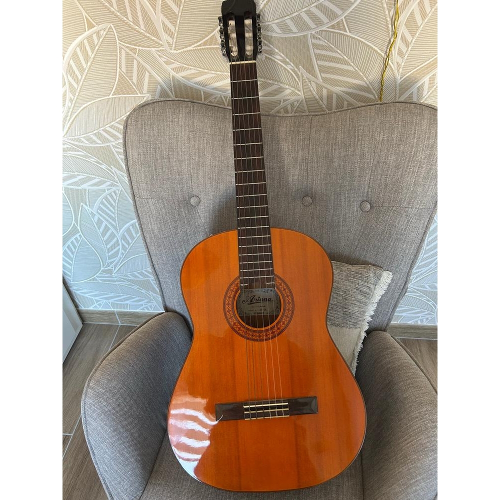 Ariana guitarra clásica