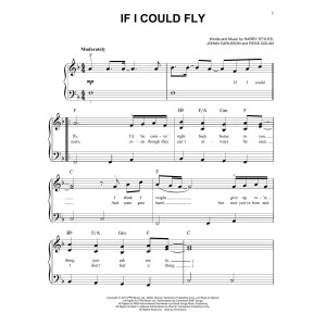 If I Could Fly