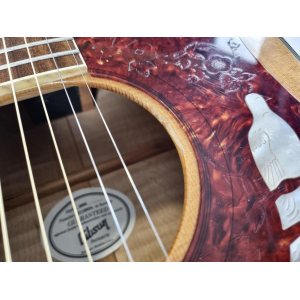 Gibson Dove 2008 Natural Antiguo