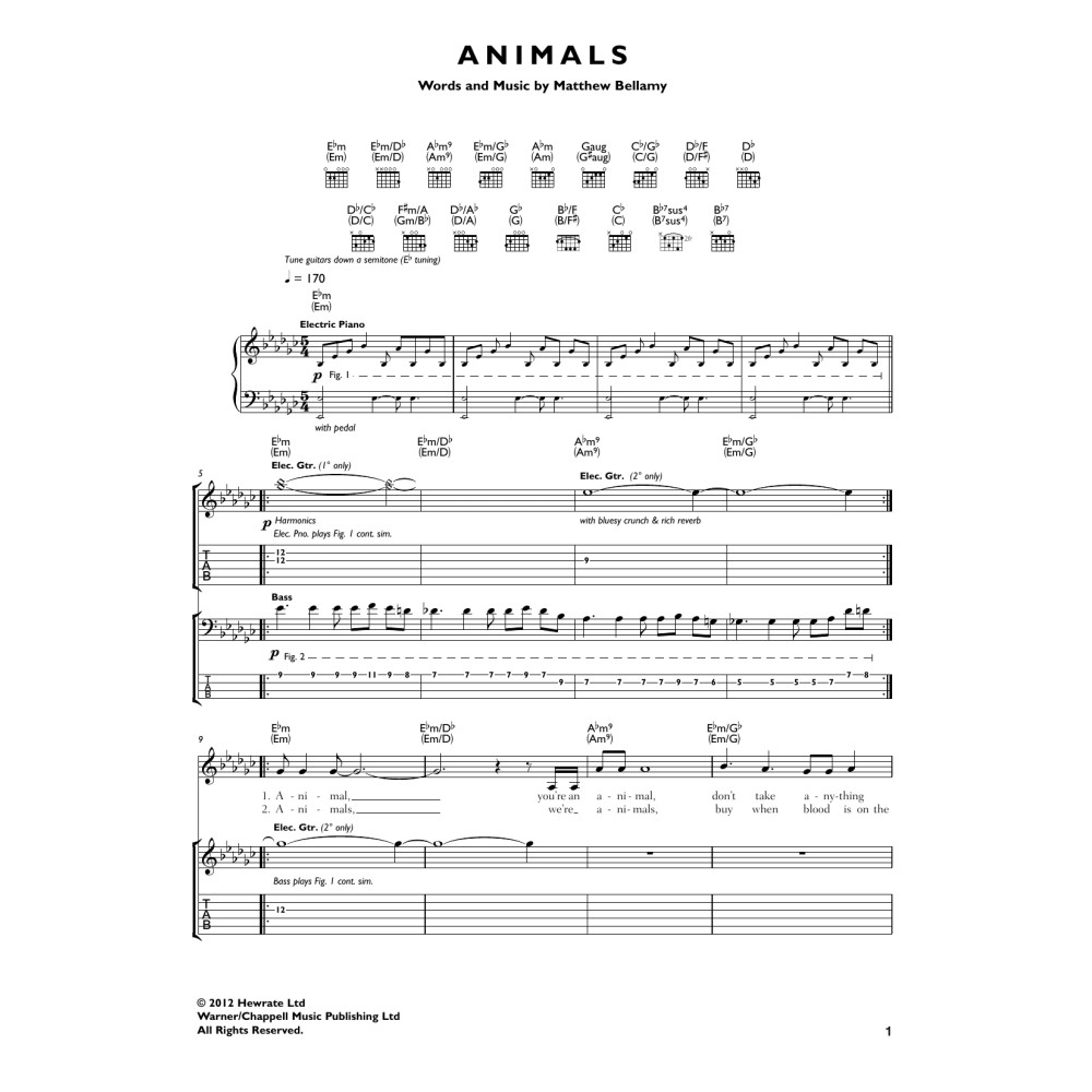 Animals