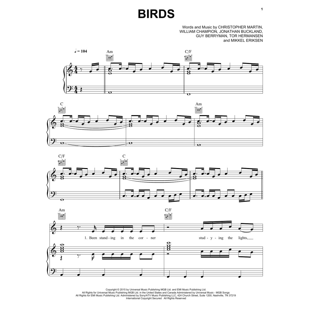 Birds