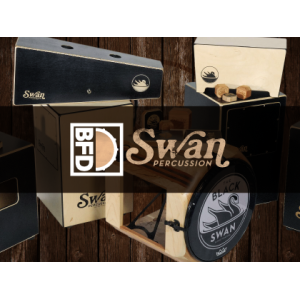BFD Swan Percussion

BFD Schwan Percussion