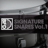 BFD Signature Snares Vol. 1