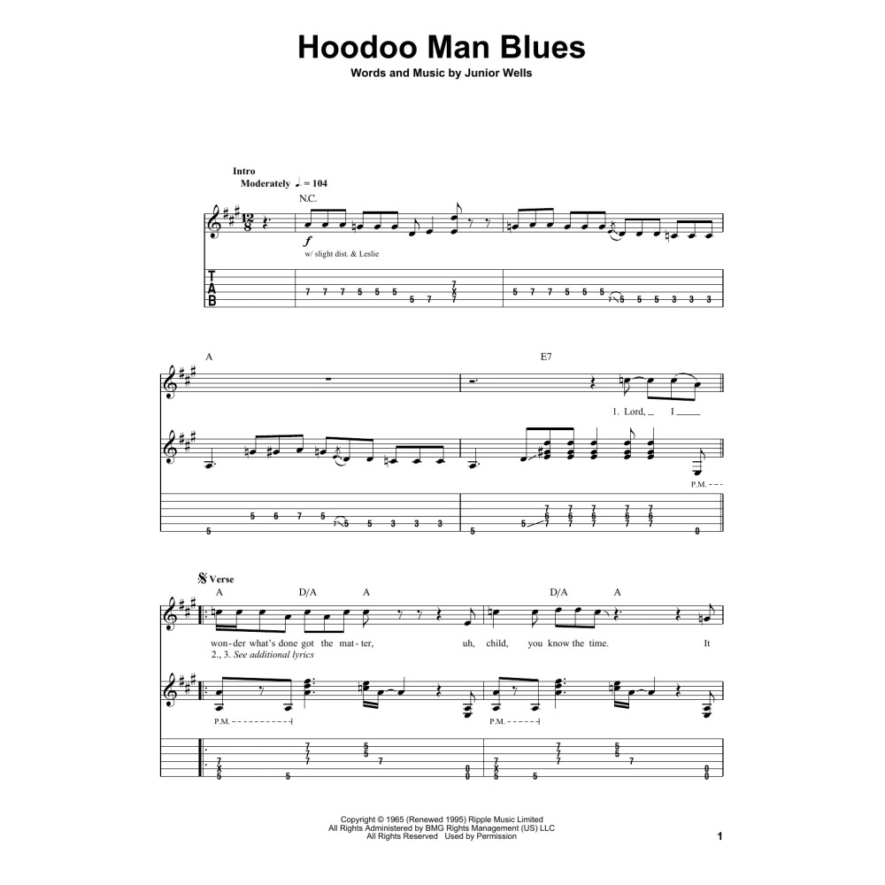 Hoodoo Man Blues