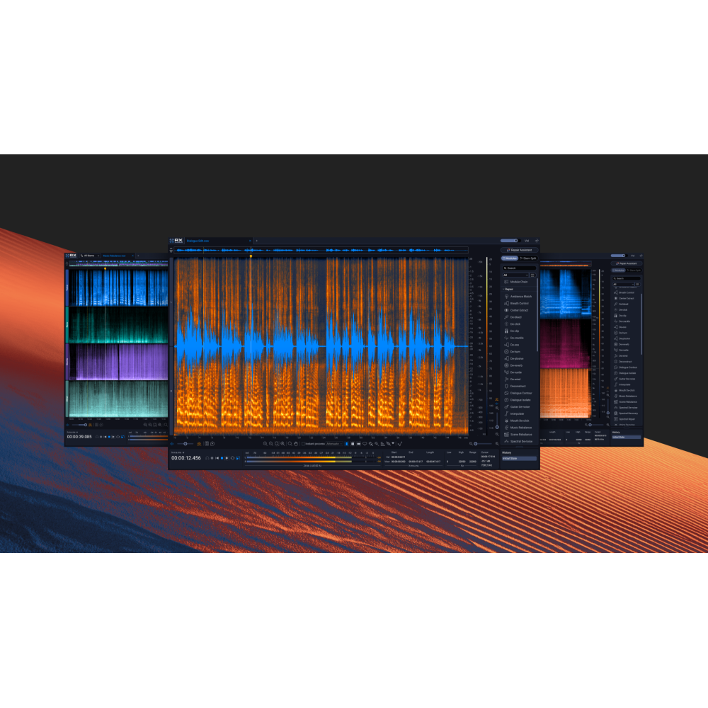 Izotope RX 12 Elements - Education version