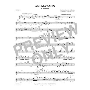 Ani Ma'amin - Violin 1