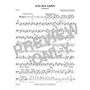Ani Ma'amin - Cello