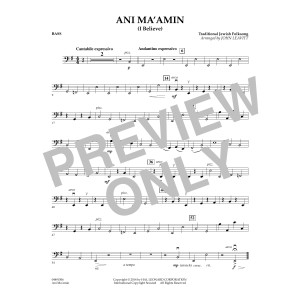 Ani Ma'amin - Bass