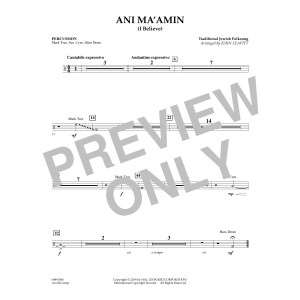 Ani Ma'amin - Percussion