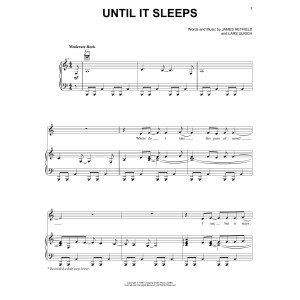Until It Sleeps