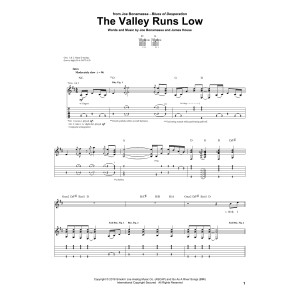 The Valley Runs Low