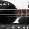 Acousticsamples Bassysm-J