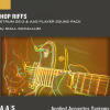 Applied Acoustics Systems Hop Riffs