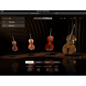 AIR Music Technologynology Studio Strings